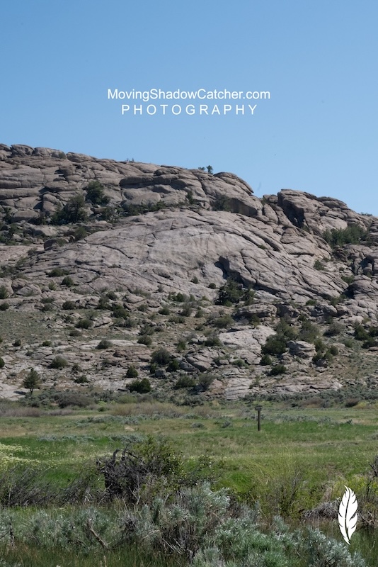 Fine Art Photography, Martin's Cove, Silver Horse, by Ty Saunders