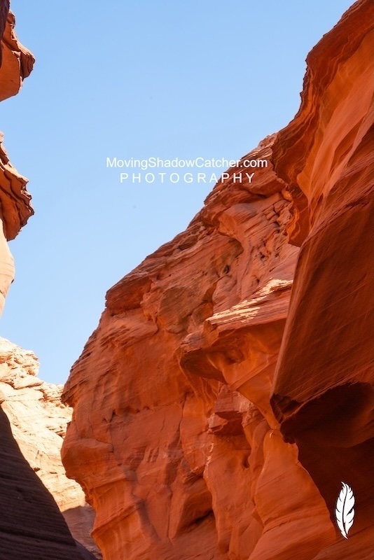 Fine Art Photography, Red Tailed Hawk Messenger, Wall Art
