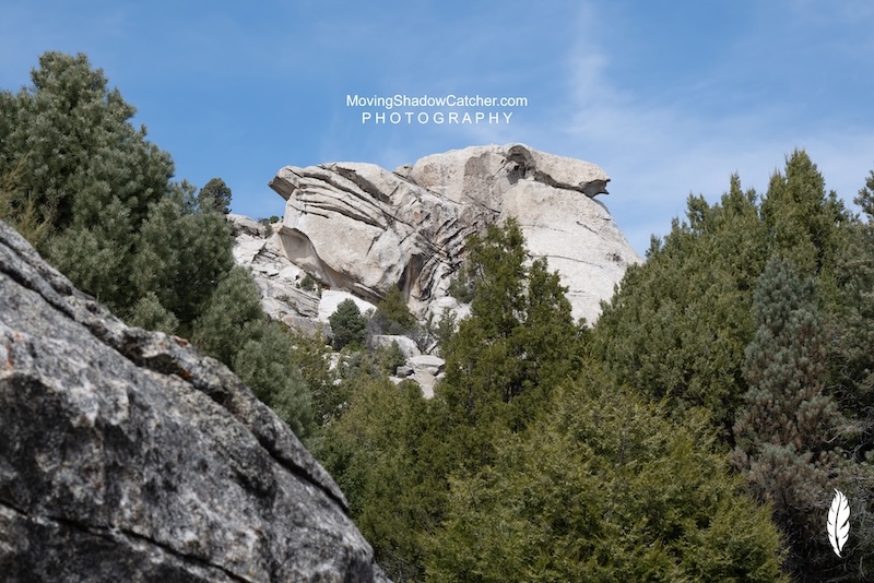 Fine Art Photography, Wildlife Bird Nest, Bird Monument, by Ty Saunders