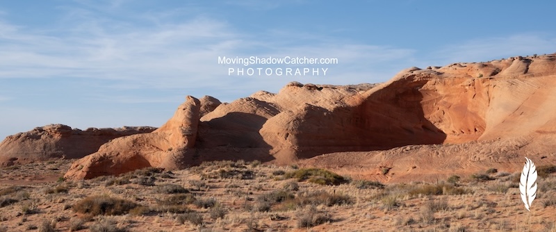 Fine Art Photography, Wildlife Red Fox, Wall Prints