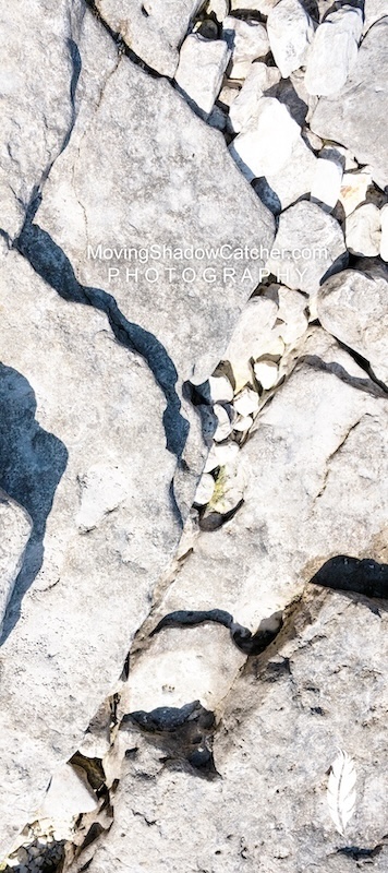 Moving Shadow Catcher, Fine Art, Coastline Native, Wall Art