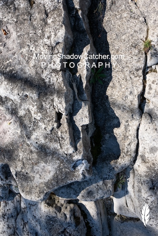 Moving Shadow Catcher, Photography, Chief High Tide, Wall Art