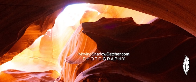 Moving Shadow Catcher, Photography, Howling Coyote, Arizona Canyons, Fine Wall Art