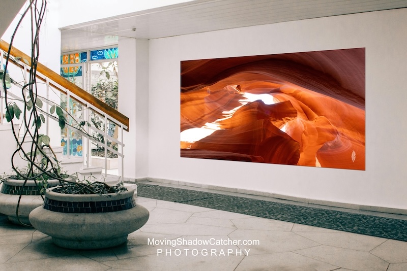 Moving Shadow Catcher, Photography, lobby wall art, seahorse decor