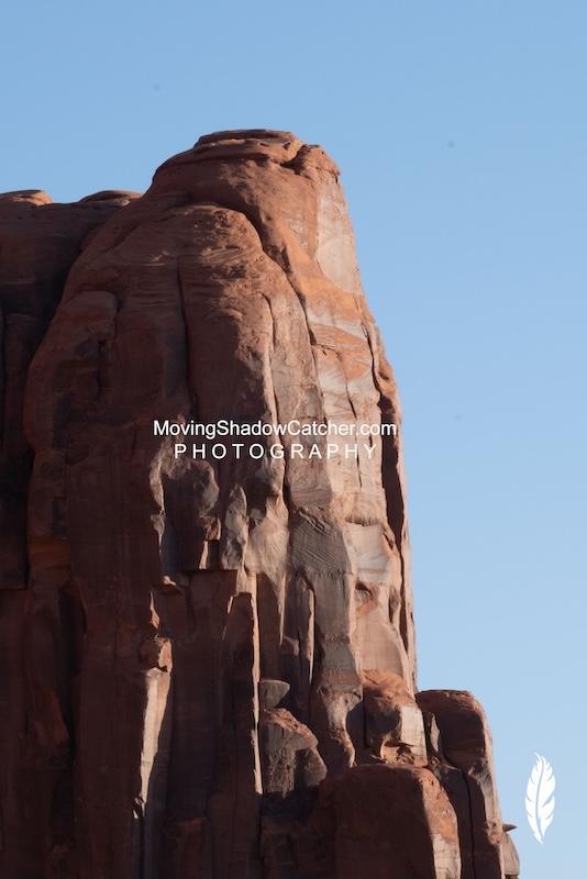Moving Shadow Catcher, Wildlife, Towering, Golden Eagle, Fine Wall Art