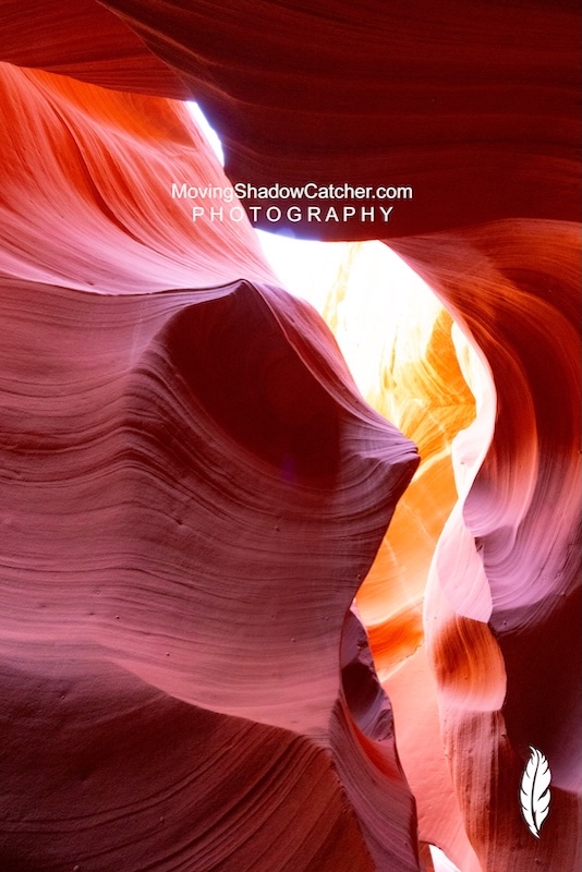 Slot Canyon Photography, Gallery Fine Art, Horned Owl, Wall Decor