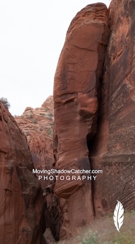 Slot Canyon Photography, Gallery, Native Hidden Guardian, Wall Art