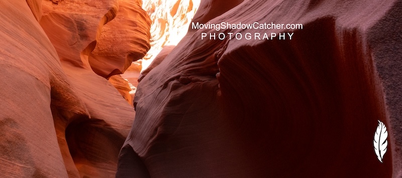 Slot Canyon Photography, Navajo, Coyote Dark Howl, Wall Art, Wildlife