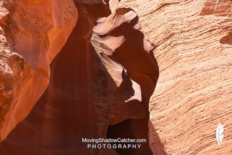 Slot Canyons Photography, Page, Arizona, Kodiak Bear