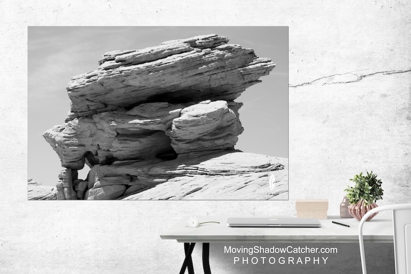 fine art photography, rustic wall art, desert wildlife decor