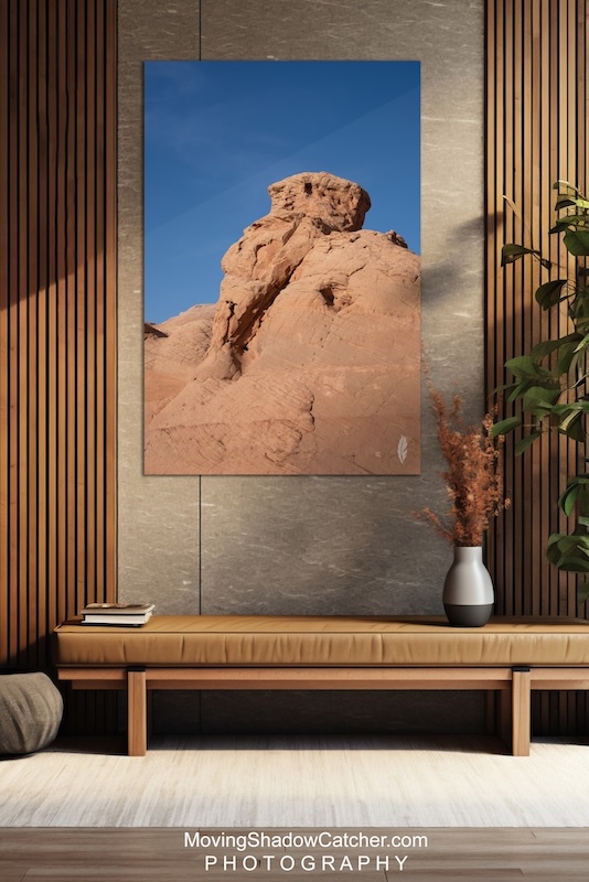 fine art photography, wildlife desert wall art, foyer wall decor