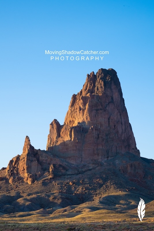 Fine Art Photography Gallery, Wildlife Rhino Butte, Wall Art