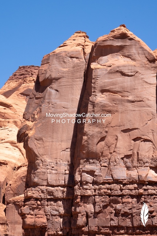 Fine Art Photography, Wildlife Red Tailed Hawk, Falconer, Acrylic Wall Art
