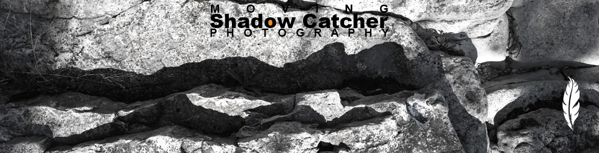 Moving-Shadow-Catcher-A3 Moving-Shadow-Catcher-A3