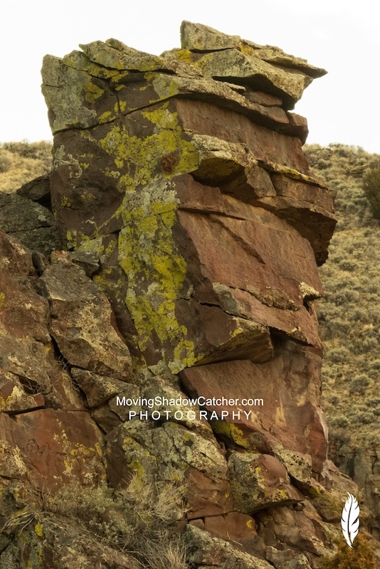 Territories Uncharted, Photography, Native American Dog Soldier