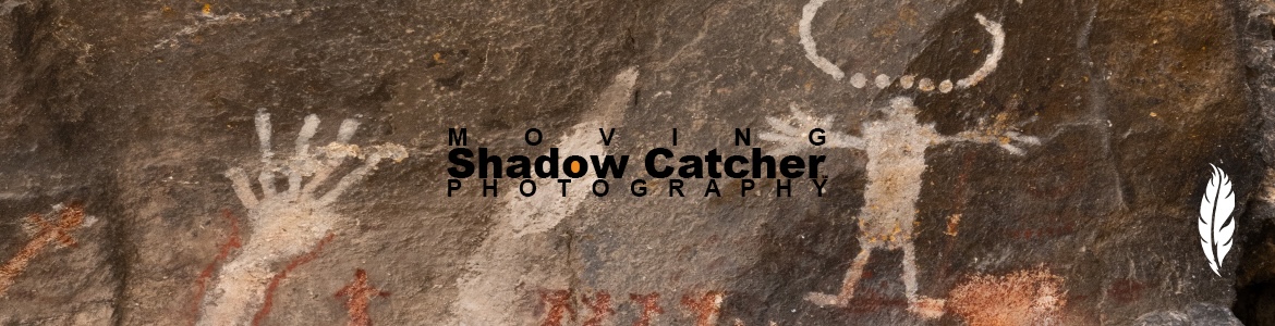 Why-Collect-A5 Why-Collect-A5