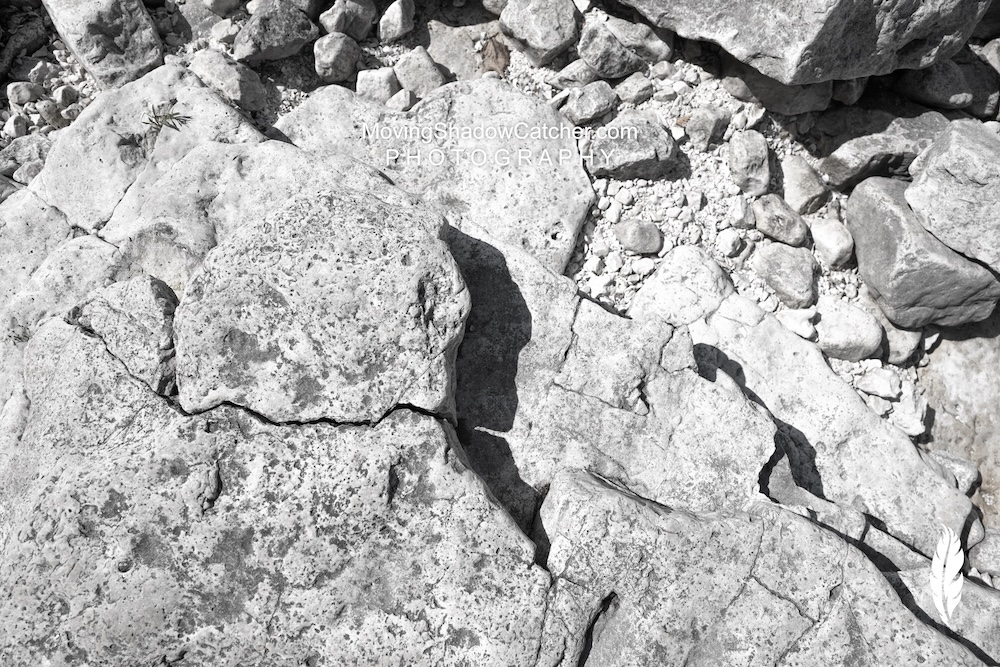 Fine Art, Photography, Native Coyote Warrior, Wall Art, Prints