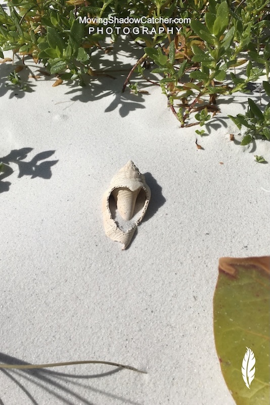 Fine Art Photography, Ocean Warriors Heart, Wall Decor