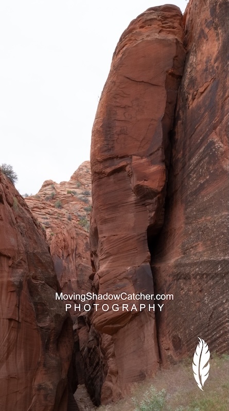 Territories Uncharted, Photography, Native Hidden Guardian, Office Art, 3556