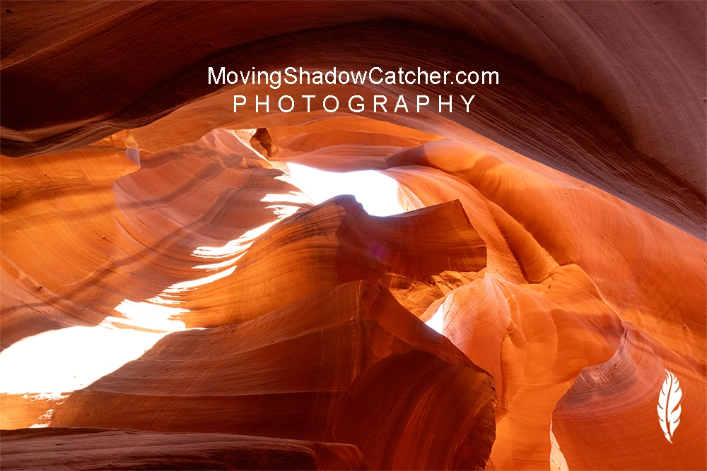 Slot Canyon, Photography, Desert Seahorse, 2165