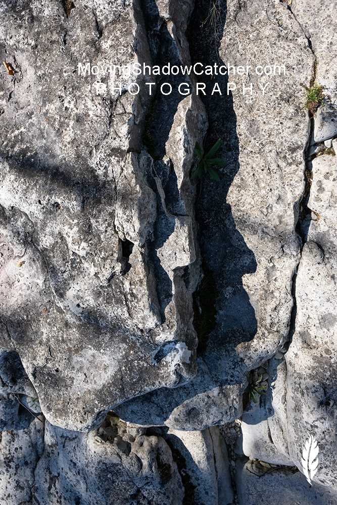 Territories Uncharted Photography, Chief High Tide, Wall Art, 7788